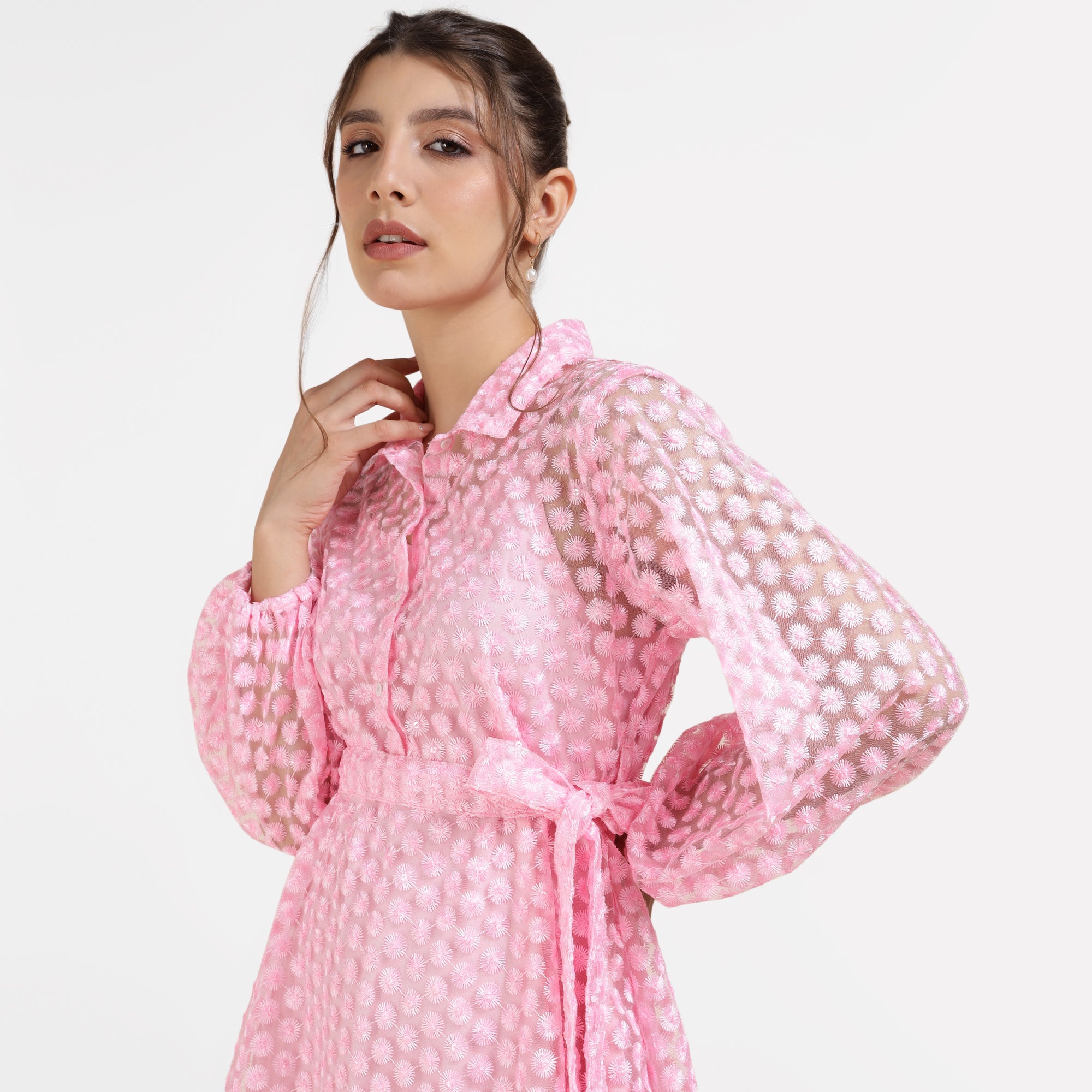 Sheer Embroidered Shirt Collar Mini Dress – Blush Pink